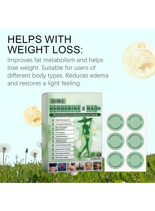 Wins Town Berberine x NAD+ Metabolism & Health Boosting Patches | Fat Burning, Blood Sugar Control, Improved Circulation, Body Shaping, 6 Patches/Box - Image 2